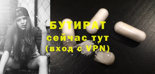 молекула духа Богородицк