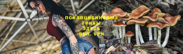 дмт Аркадак