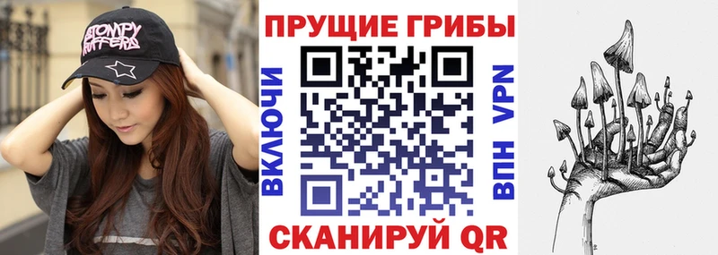 Галлюциногенные грибы Magic Shrooms darknet какой сайт Строитель как найти закладки